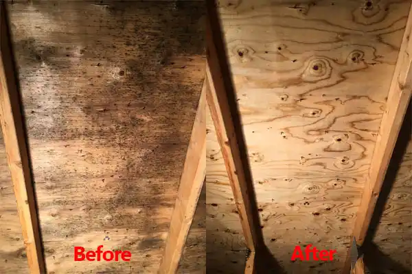 water damage restoration service Westland